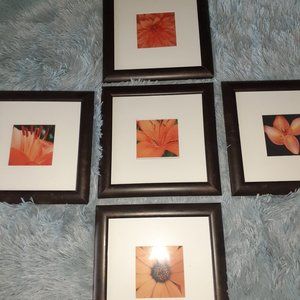 5 piece Wall Decor